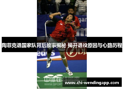 陶菲克退国家队背后故事揭秘 揭开退役原因与心路历程