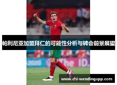 帕利尼亚加盟拜仁的可能性分析与转会前景展望