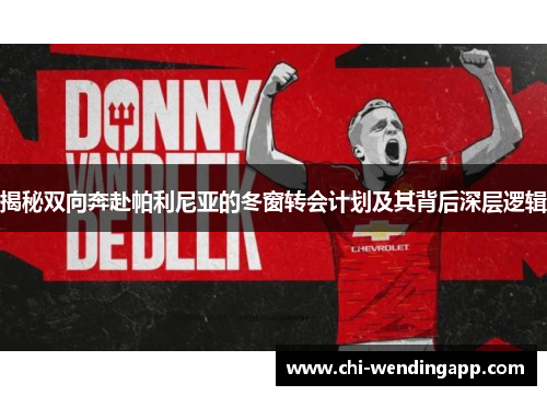 揭秘双向奔赴帕利尼亚的冬窗转会计划及其背后深层逻辑