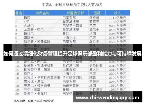 如何通过精细化财务管理提升足球俱乐部盈利能力与可持续发展 如何通过精细化财务管理提升足球俱乐部盈利能力与可持续发展